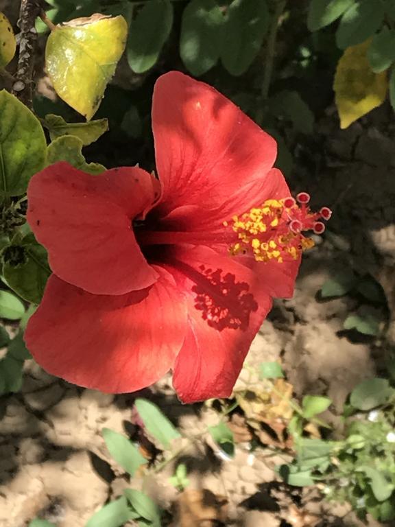 B&B Garzia Marinella  Dış mekan fotoğraf